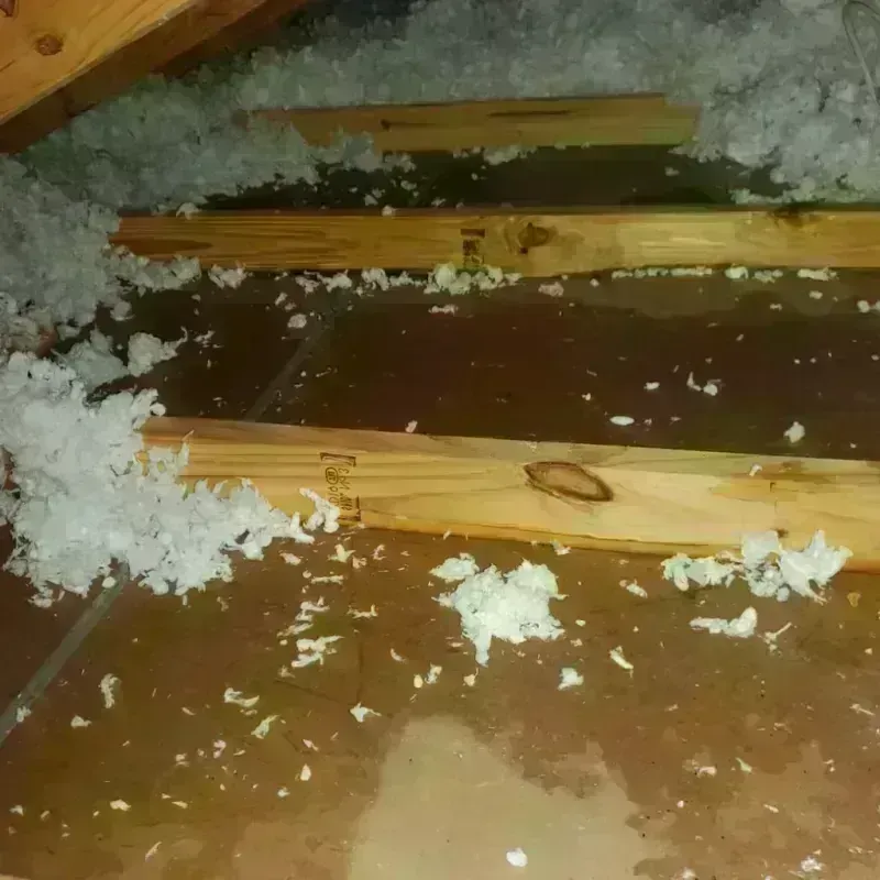 Attic Water Damage in Mulvane, KS