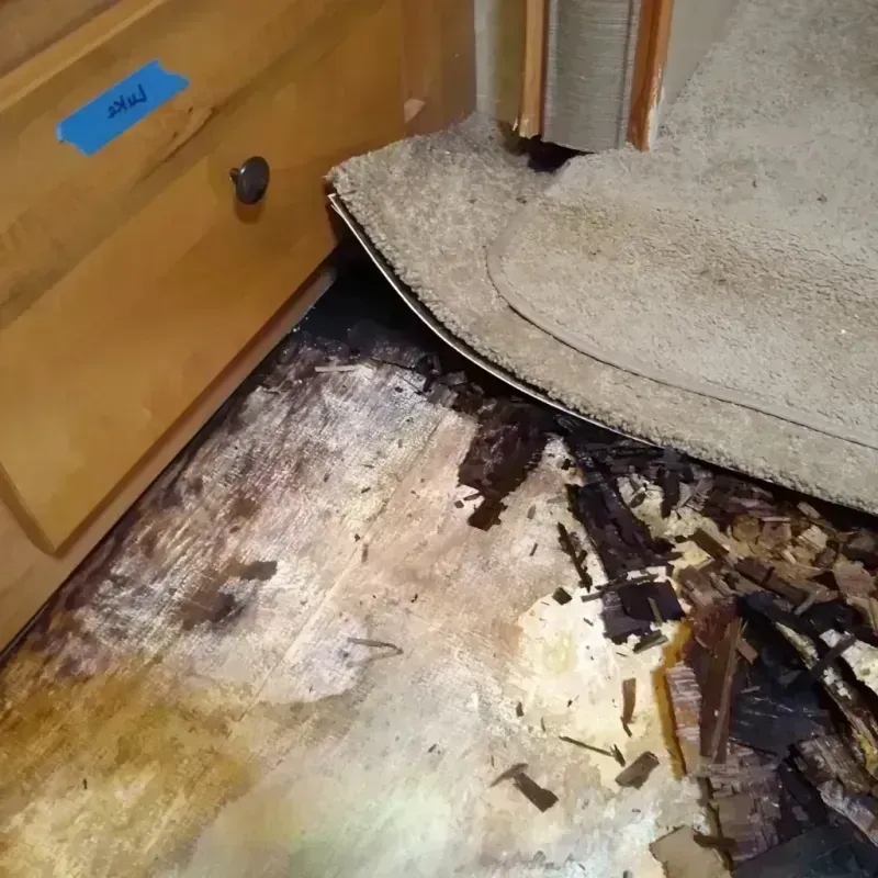 Wood Floor Water Damage in Mulvane, KS